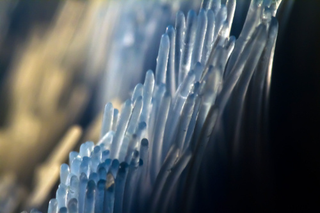 Illustration for article titled Shooting Challenge Freelensing Gallery 2